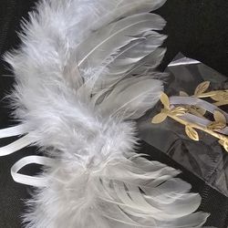 Newborn Photo Prop Angel Wings W/gold Head Crown