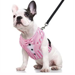 Pink Dog Tuxedo Harness Size: XL