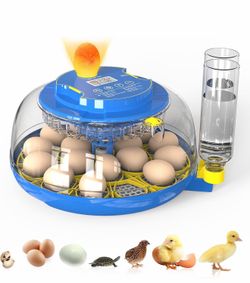 Incubators for Hatching Eggs Automatic Egg Incubator with Temperature Control Humidity Display 12 18 48 Egg Capacity for Chicken Duck Goose Eggs Digit