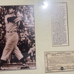Certificate Of Authenticity  Joe DiMaggio 