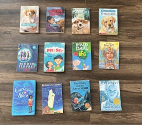 Lot of 12 Children's Chapter Books
