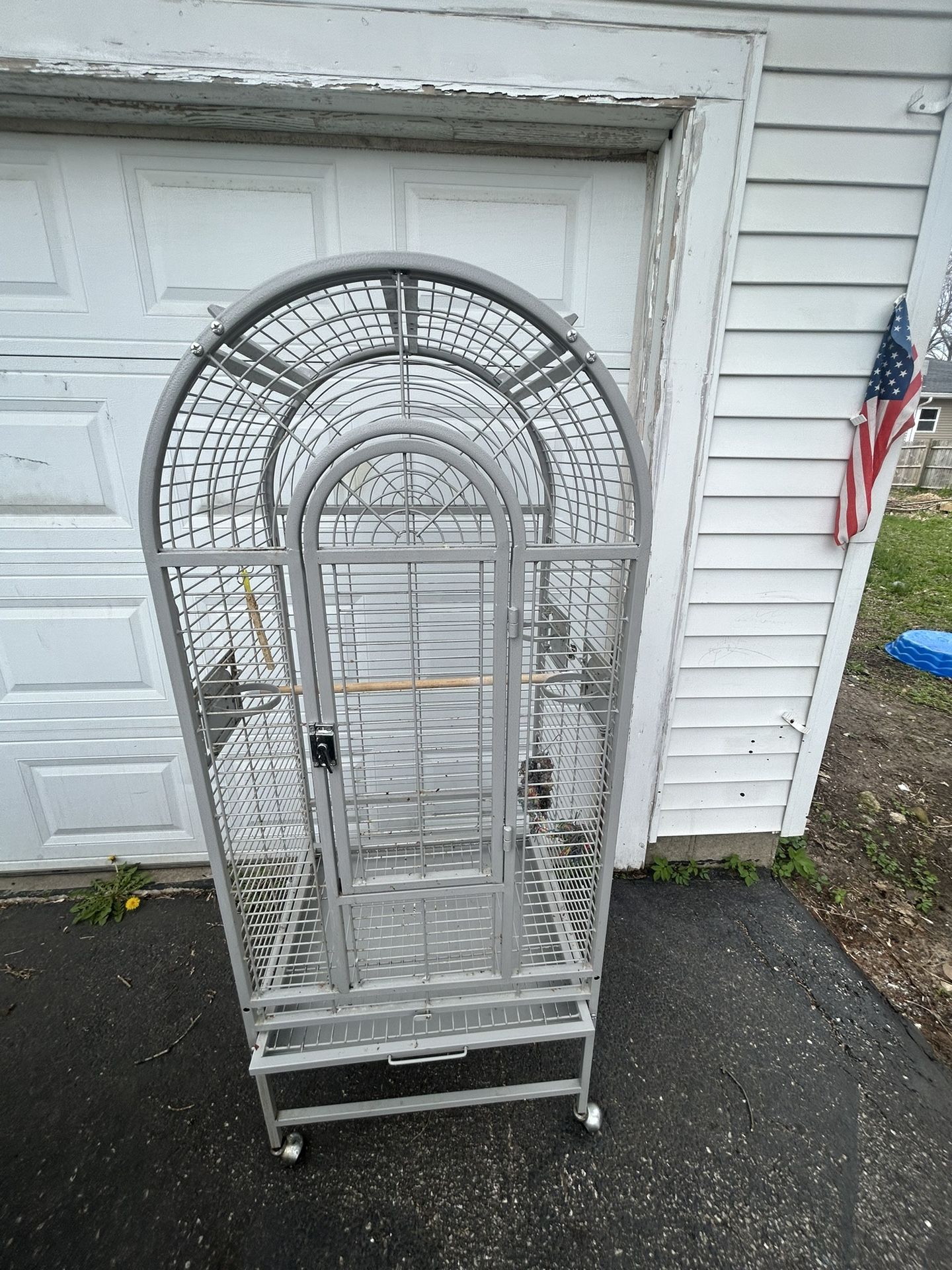 Bird Cage/Jaula