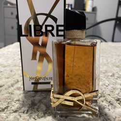 YSL lebre