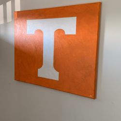 24x30 UT Painting 