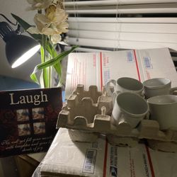 Decorative Plant And Pic Frame