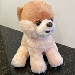 Gund Boo Dog Plush The Worlds Cutest Dog 10" Pomeranian Stuffed Animal 