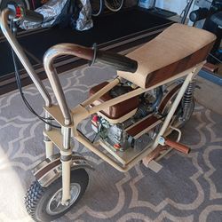 Selling My Rebuilt  Mini Bike