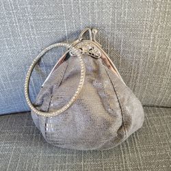 Elegant Silver Evening Clutch