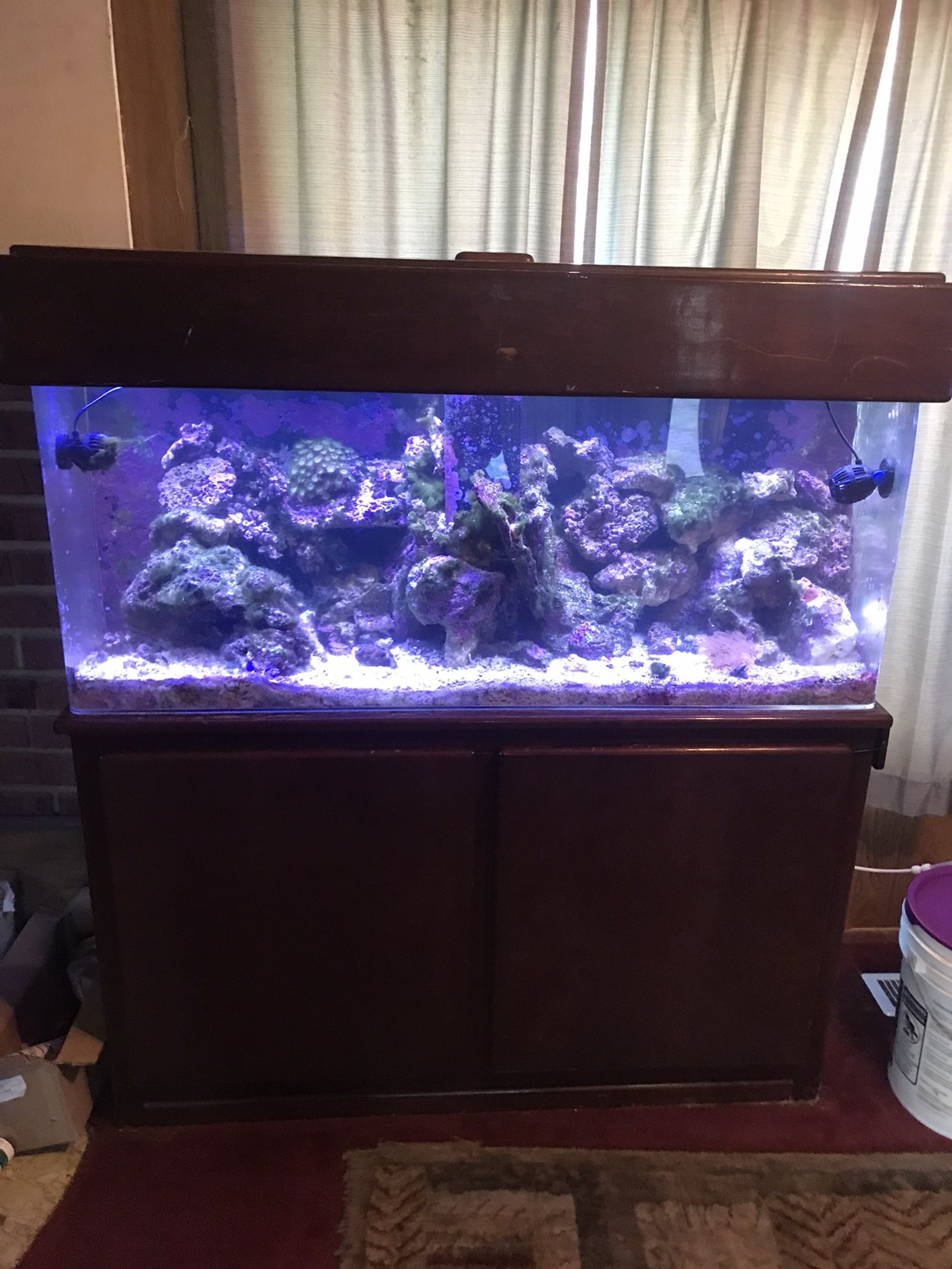 55 Gallon Saltwater Aquarium 