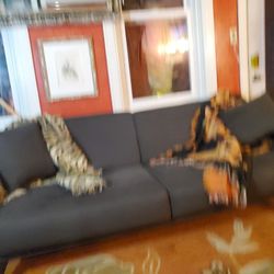 Sofa Guest Bed Combo.   280.00