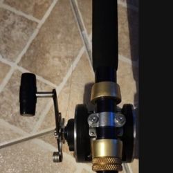 PENN 330 GTI GRAPHITE  FISHING  POLE REEL