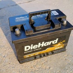 DieHard Battery  & Rural King