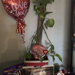 Valentine’s Day gift