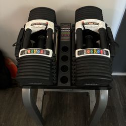 Power block Adjustable Dumbbells With Stand