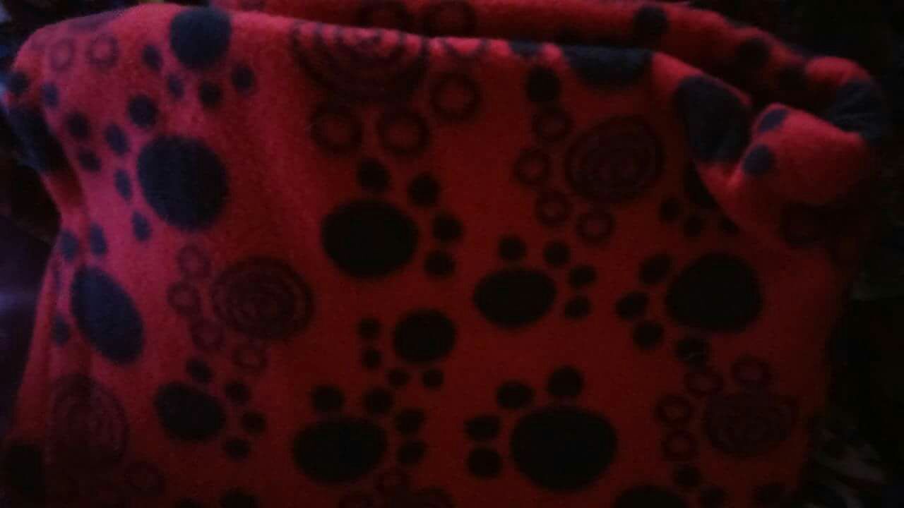 Red and black dog print tie blanket