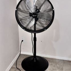 Fan