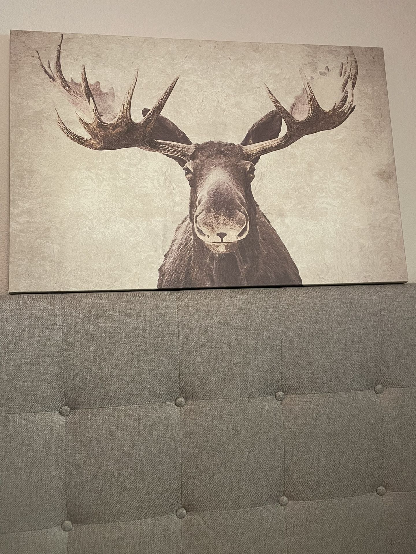 Moose Wall Art