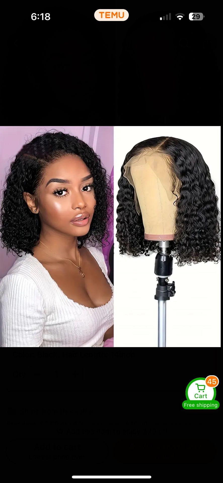 Kinky Curly Lace Front Wig