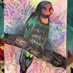 Watercolor Beautiful Bird Art😊🦜