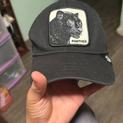Hat Panther 