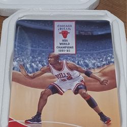 Michael Jordan Collector's Plate Soaring Above The Rest Tough D