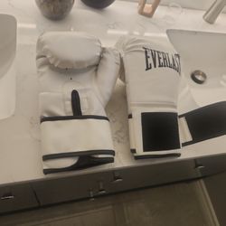 Everlasting Punching Gloves S/M. 10 Onz