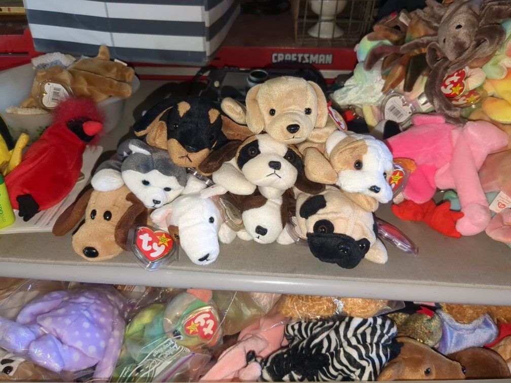 Dogs Ty Beanie Babies