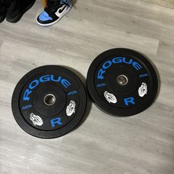 Rogue Bumper Weights !!!!