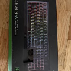 Razer Blackwidow Keyboard 