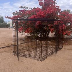 Dog Kennel