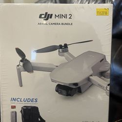 DJI Mini Drone