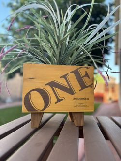 Wine Crate Panel Planter