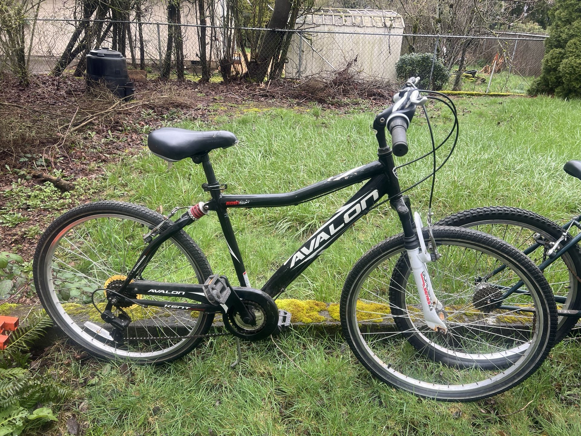 Trek 24in Motorized Brand New Motor & Kent Mountain Bike 26 In