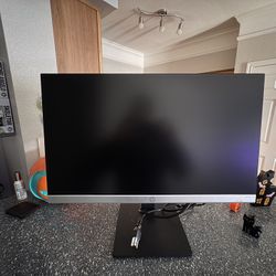 HP 21 Inch Monitor 