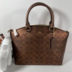 Brown Copper Coach Women Bag 