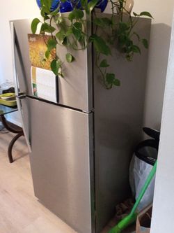 Fridge