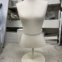 Female buss display