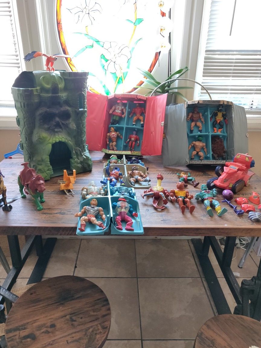 HE-MAN Collection,20 Action figures,He-man castle, ,1, war horse, 1 battle cat ,2, collector cases ,1, eagle 1 snake, 9, accessories,one attack track