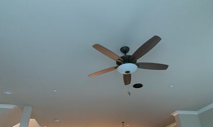 Modern Ceiling Fan With Light