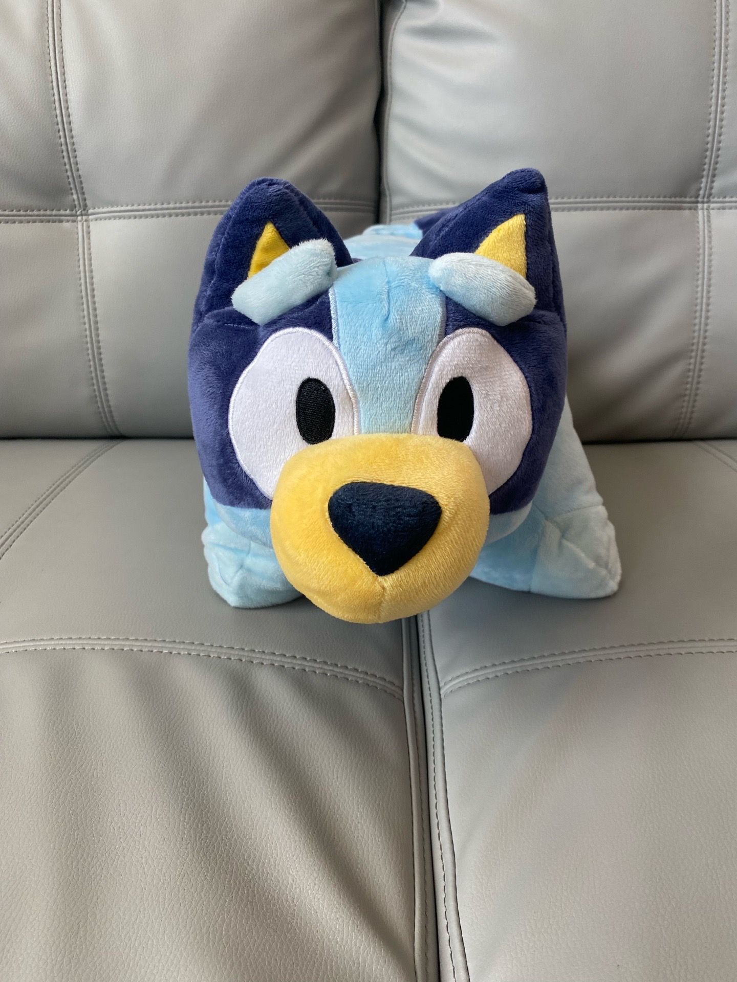 Bluey pillow pets