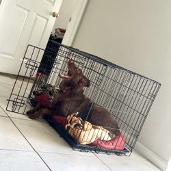 Medium Dog Cage / Jaula Para Perro Mediano