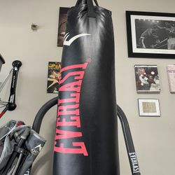 Everlast Punching Bag