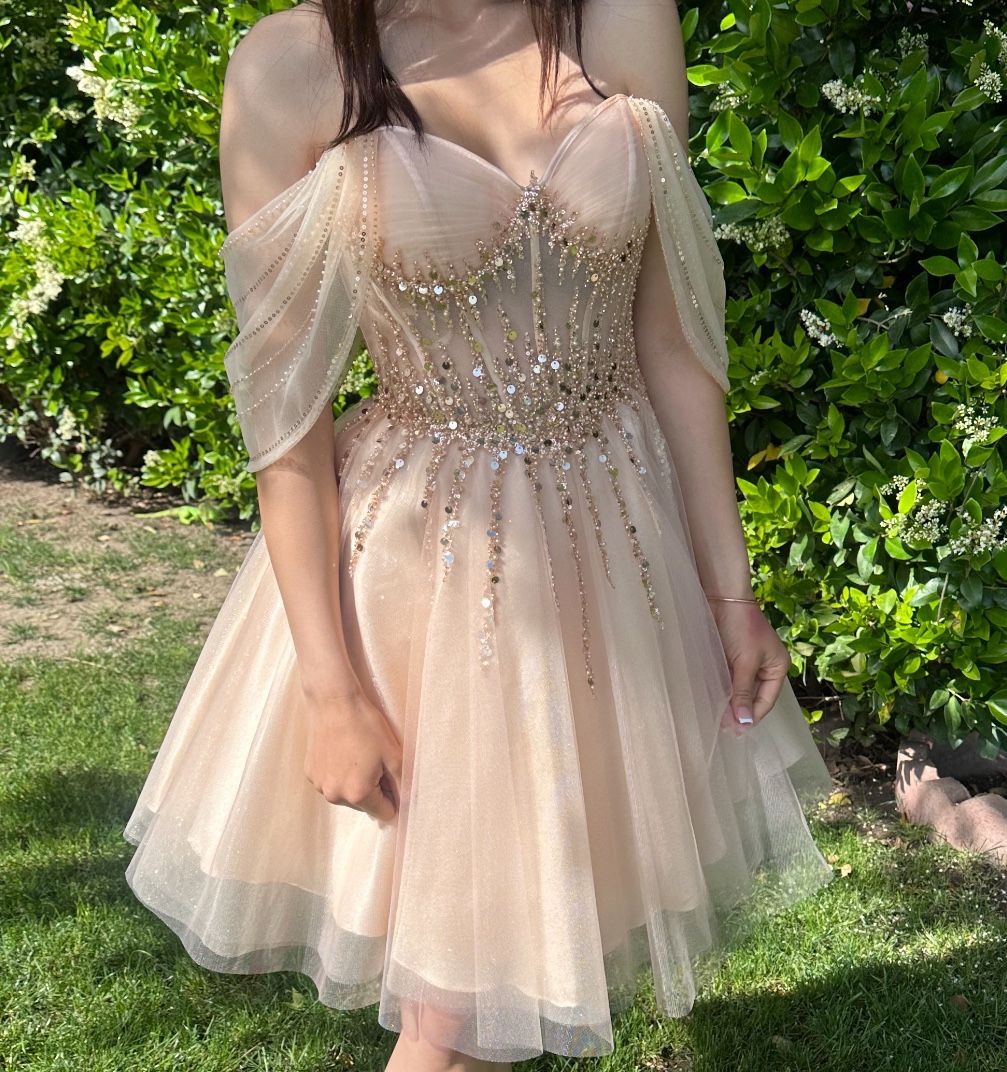 Champagne Dama Dress - www.armafbd.com