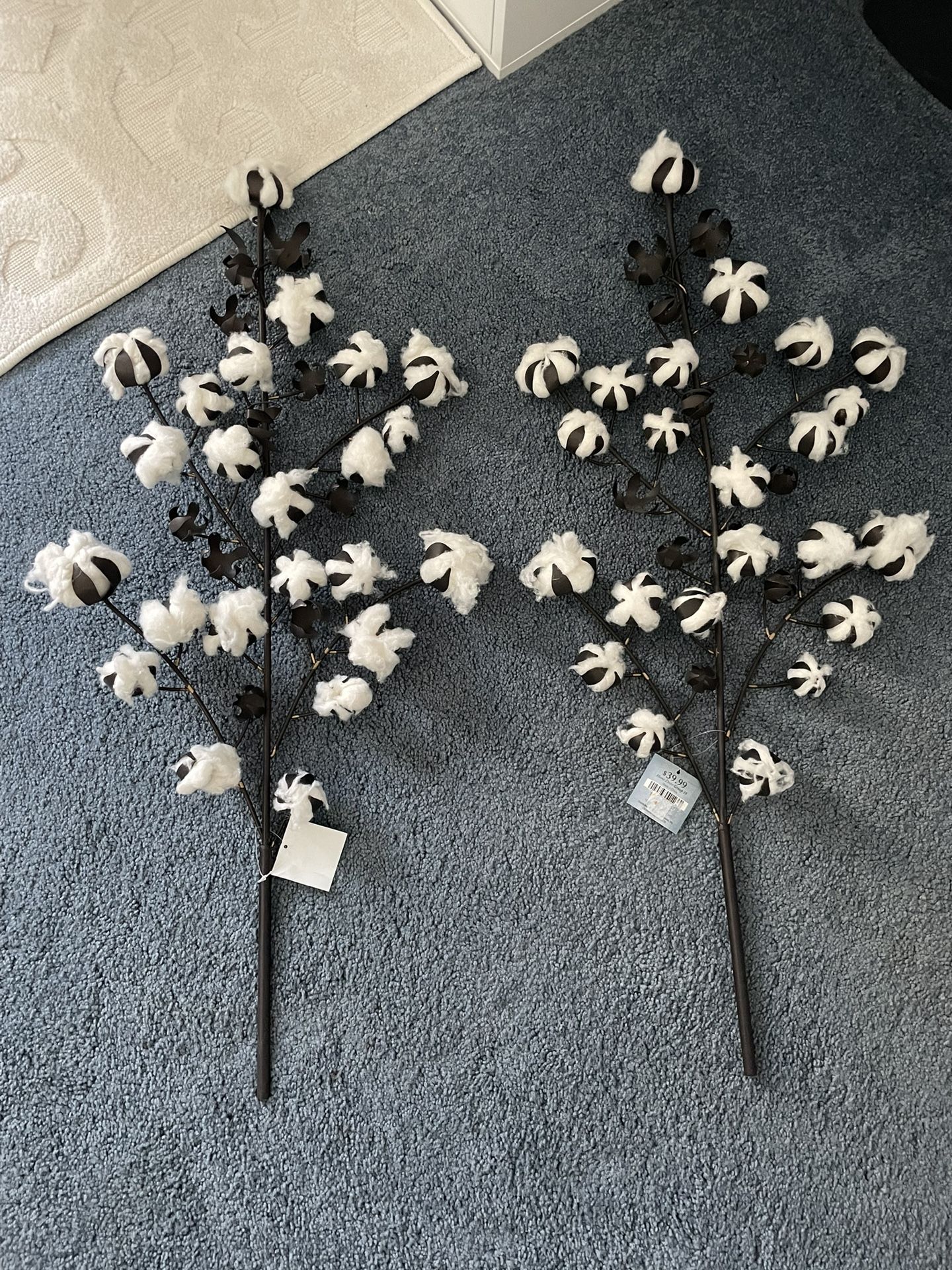 2 Cotton Stems