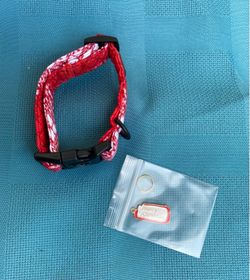 Christmas Dog Collar for Puppy