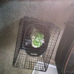 Small Dog Cage Bath Bed And Food 