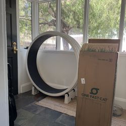 One Fast Cat Wheel