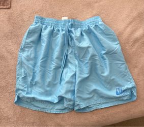Nike Light Blue Woven Shorts