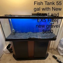 Fish Tank
