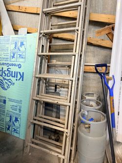 Roofing shingle hoist and ladder